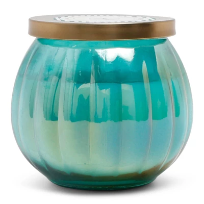 14oz Lidded Glass Jar Candle Driftwood & Sea Salt - Fresh Collection - Opalhouseā¢